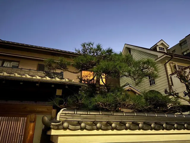 ◆大切なお庭をキレイにします◆伸び放題の庭木はありませんか？お待ちしております！サービスの画像