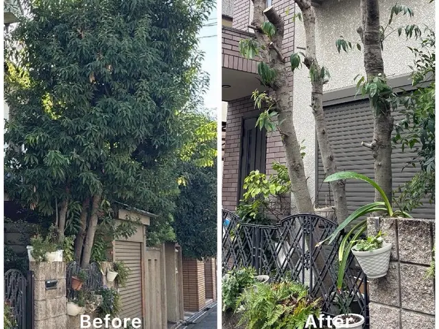 【年内作業可能！】草刈り／剪定／伐採｜関西全域対応｜追加費用なしの安心見積りサービスの画像