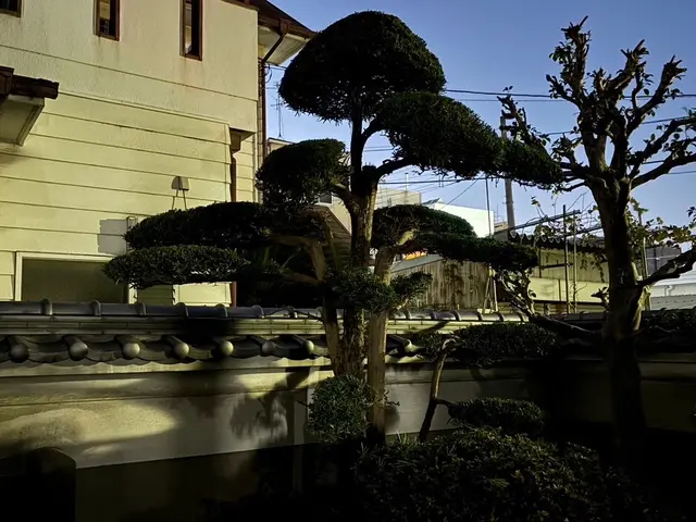 ◆大切なお庭をキレイにします◆伸び放題の庭木はありませんか？お待ちしております！サービスの画像