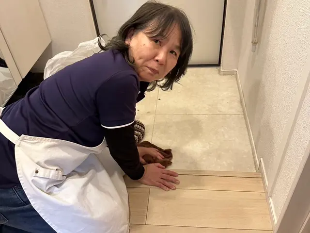 家と体と心を整えます！手際の良さで専属依頼多数の信頼できるスタッフがお伺いしますサービスの画像