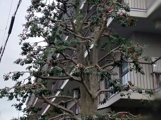 【土日祝、営業時間外も応対可能】大手の業務経験も豊富。緑が素敵なお庭にサービスの画像