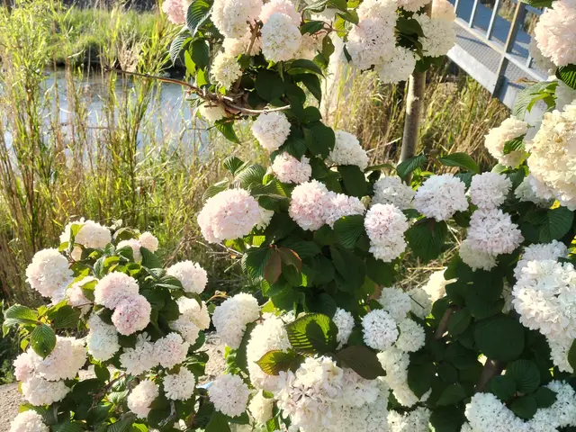 【土日祝、営業時間外も応対可能】大手の業務経験も豊富。緑が素敵なお庭にサービスの画像