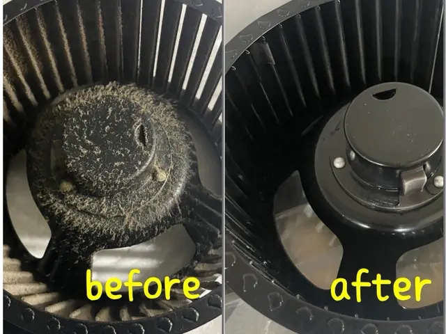 主婦層、ペットのいるご家庭に大人気店舗！10月受付中【13500円→11500円サービスの画像