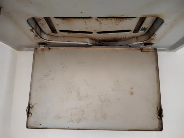 主婦層、ペットのいるご家庭に大人気店舗！10月受付中【13500円→11500円サービスの画像