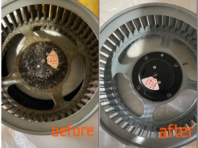 主婦層、ペットのいるご家庭に大人気店舗！10月受付中【13500円→11500円サービスの画像