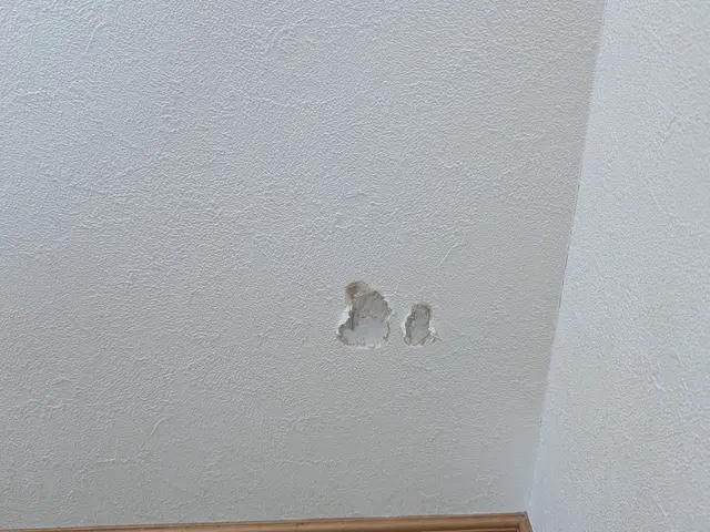 【】プロの技術でご満足いただけるように心を込めて作業いたしますサービスの画像