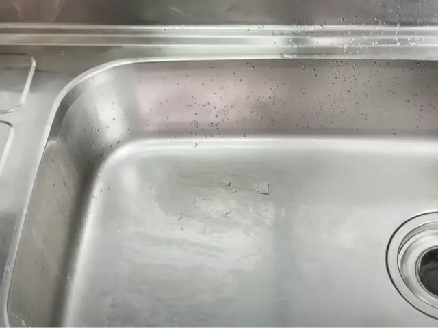 キッチンクリーニング！丁寧に作業いたします。サービスの画像