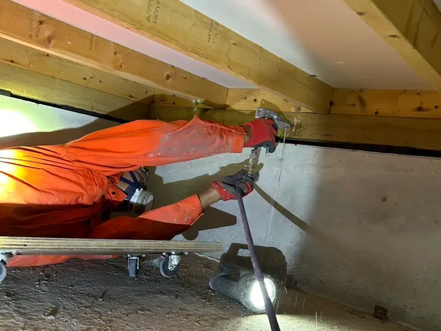 ※38年間の実績です。【本物の適正価格】◎即日お見積提示可です◇サービスの画像