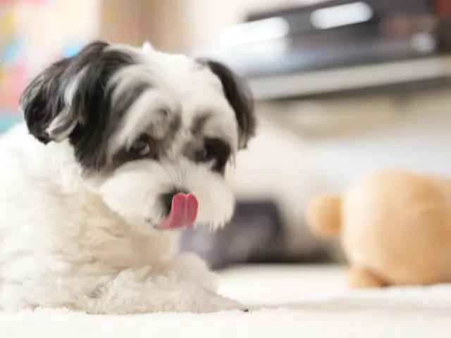 コミュニケーション重視で魅力を引き出す！女性スタッフ同行可で安心の自然な表情撮り