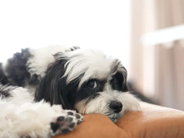 コミュニケーション重視で魅力を引き出す！女性スタッフ同行可で安心の自然な表情撮り