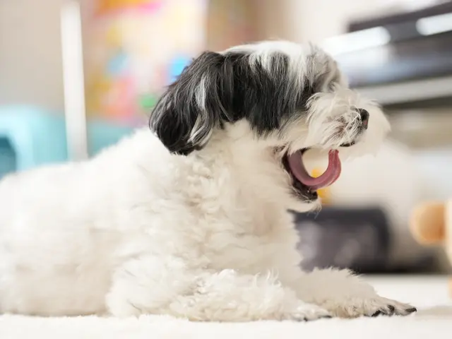 コミュニケーション重視で魅力を引き出す！女性スタッフ同行可で安心の自然な表情撮り