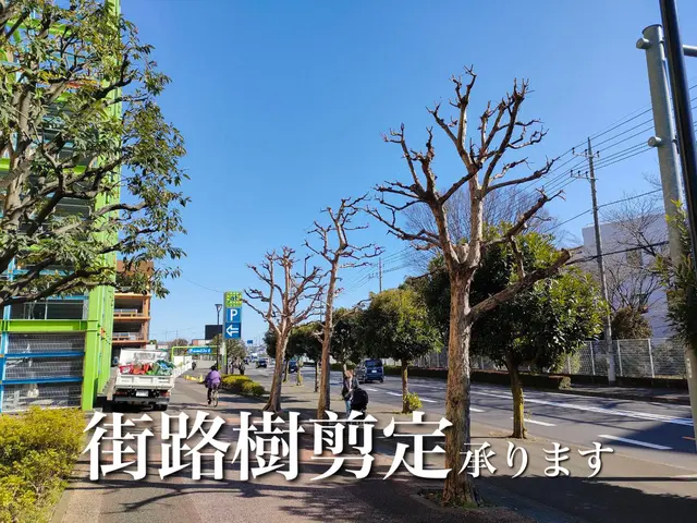 【reGreen】庭木の剪定・除草・伐採・外構工事のことならお任せください！サービスの画像