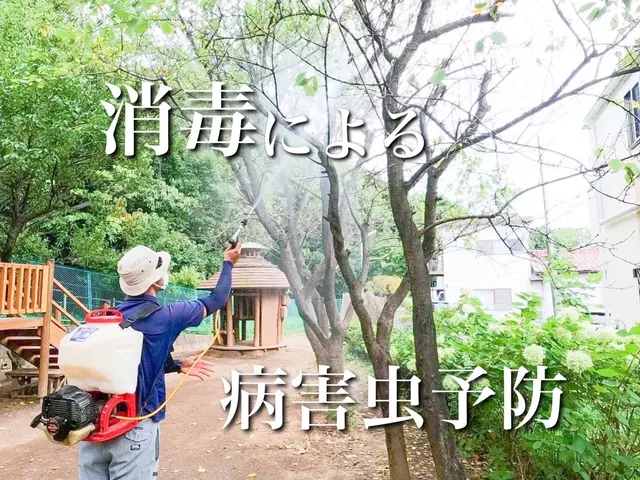 【reGreen】庭木の剪定・除草・伐採・外構工事のことならお任せください！サービスの画像