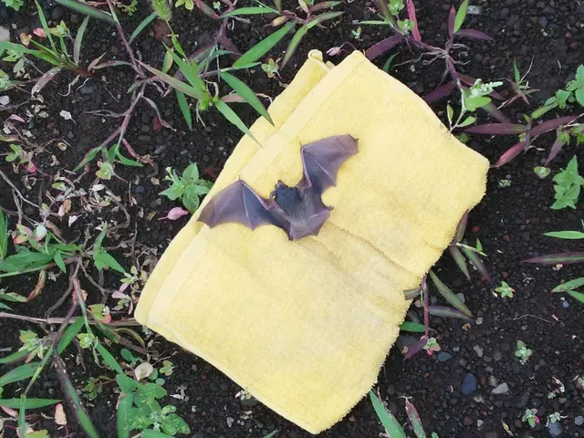 【業界経験30年以上の経験と実績】　　ころさない害獣防除はお任せください。サービスの画像