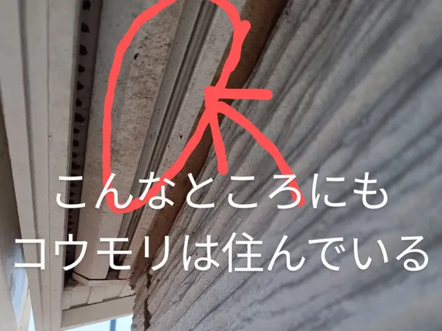 【業界経験30年以上の経験と実績】　　ころさない害獣防除はお任せください。サービスの画像