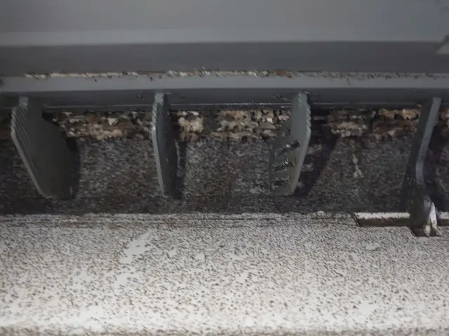 令和7年９月出店◎丁寧で安心！ご家庭に優しい【新規掲載特別価格にて提供中】サービスの画像