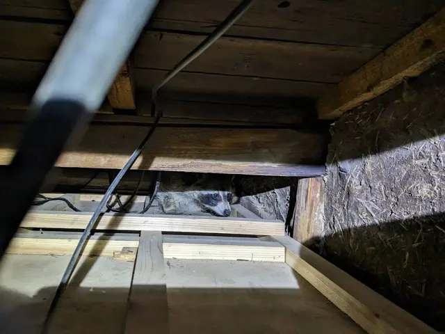 業界歴14年の実績あり！親切対応、再発保証付きで安心！当店にお任せください！サービスの画像