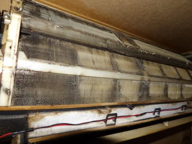 《2way洗浄＋2way抗菌》◎天然成分100%★複数割引あり！損保加入!サービスの画像