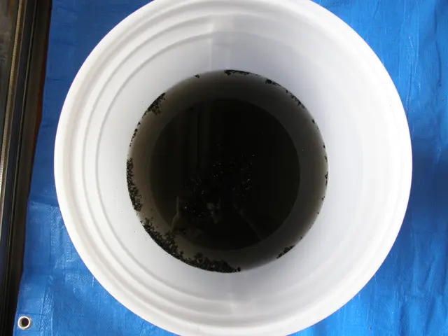 《2way洗浄＋2way抗菌》◎天然成分100%★複数割引あり！損保加入!サービスの画像