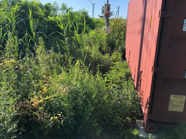 【100%自社対応】大手での業務経験あり★サービスの画像