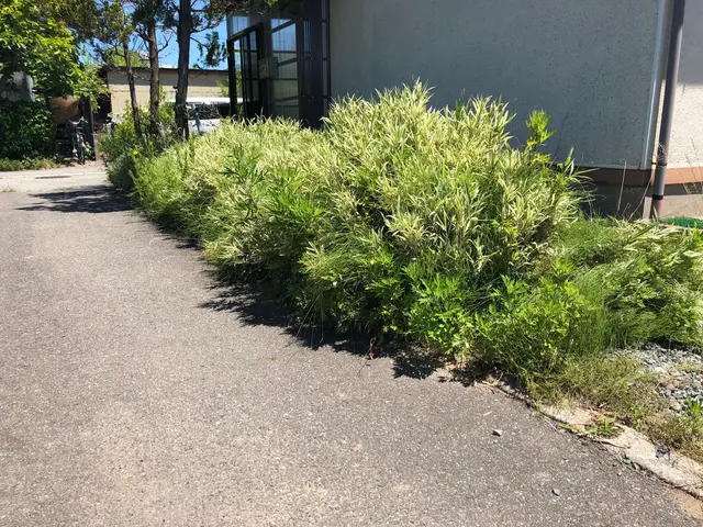 【100%自社対応】大手での業務経験あり★サービスの画像