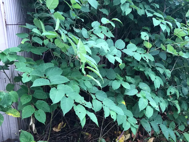 【100%自社対応】大手での業務経験あり★サービスの画像