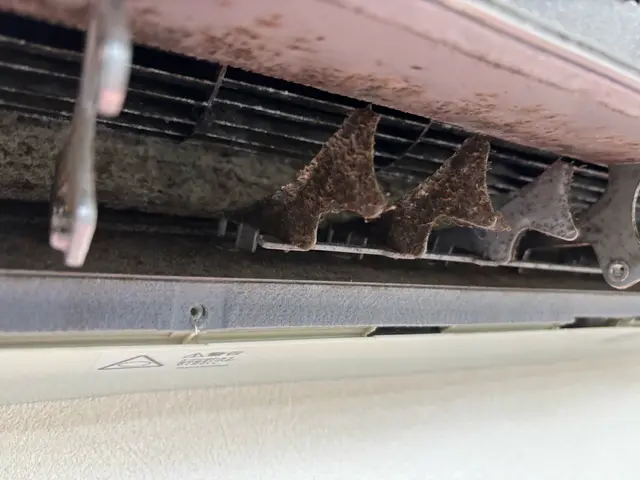 ◎秋・冬特別価格◎気になる匂い・カビ・汚れ除去【明るい接客でご好評！】サービスの画像