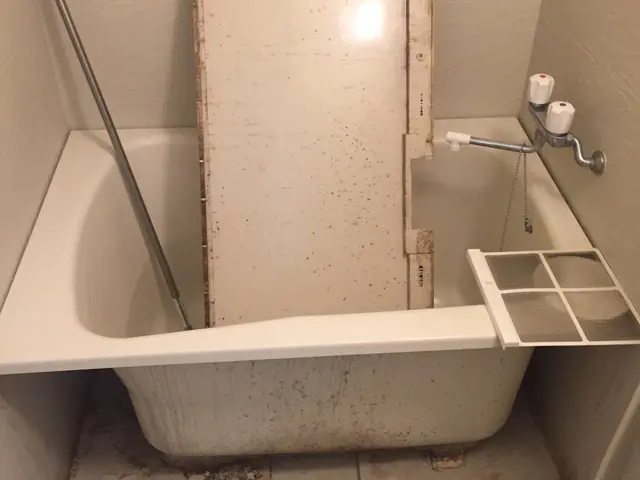 インボイス登録有り＊地元池田で３８年の信用と安心お届けします＊安心の損害損保加入サービスの画像