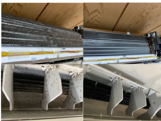 ★千葉・茨城★日本ACC協会エアコンクリーニング士がお伺いします　環境エコ洗剤使サービスの画像