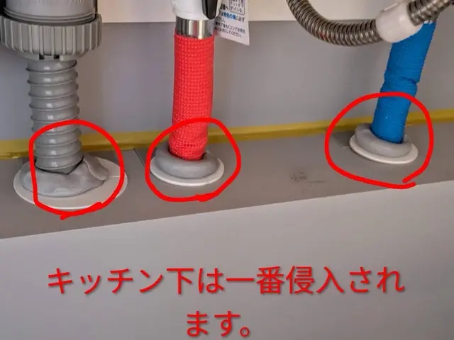 24H/最短当日施工可能！関東対応！入口徹底閉鎖&必ず完全駆除！薬剤噴霧込みサービスの画像