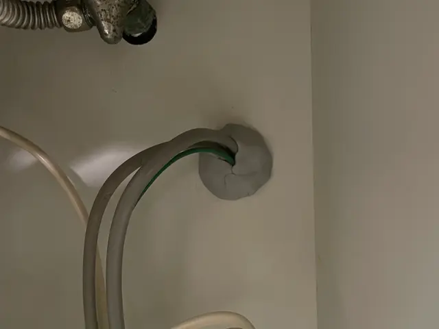 24H/最短当日施工可能！関東対応！入口徹底閉鎖&必ず完全駆除！薬剤噴霧込みサービスの画像