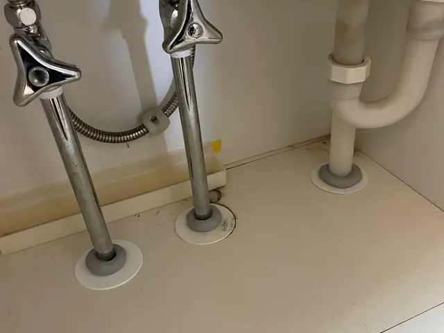 24H/最短当日施工可能！関東対応！入口徹底閉鎖&必ず完全駆除！薬剤噴霧込みサービスの画像