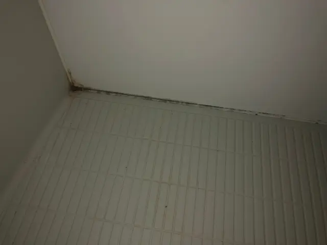 水回りコーキング（打ち替え）！サービスの画像