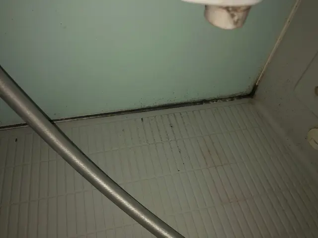 水回りコーキング（打ち替え）！サービスの画像