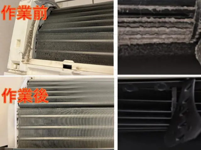 ◇1月新規出店◇家族にやさしい！カビ・ホコリを徹底除去◎追加料金無しの安心会計◎サービスの画像