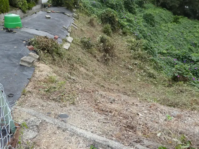 個人宅、企業やお寺、山林での敷地、土地の草刈り、法面草刈り、の草刈り致します！サービスの画像