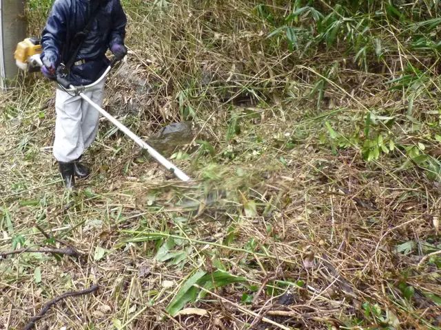 個人宅、企業やお寺、山林での敷地、土地の草刈り、法面草刈り、の草刈り致します！サービスの画像