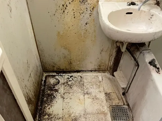 エプロン！鏡のウロコ！カビ除去！【PayPay対応】サービスの画像