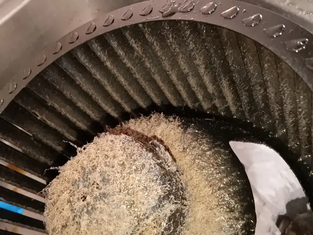 豊富な経験と知識で安心！仕上がり重視で丁寧に作業いたします！サービスの画像