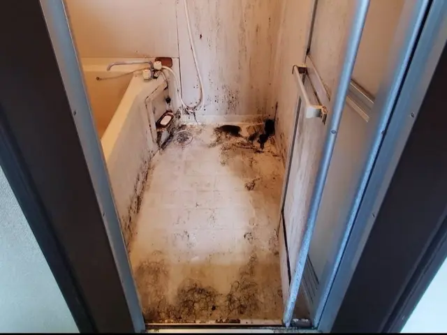 浴室クリーニング◎サービスの画像