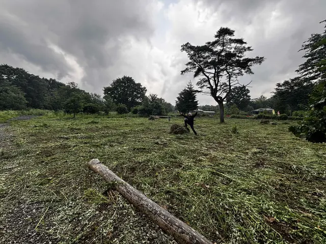 営業マン&林業経験を活かした丁寧で安心な草刈りサービス！どんなに生えてても安心！サービスの画像