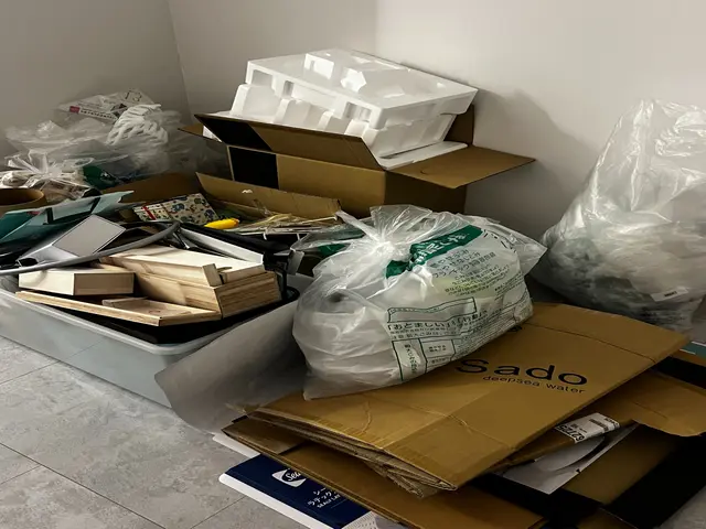 １名なら半額・女性の会社で安心♪整理収納アドバイザーだからできる計画的引っ越しサービスの画像