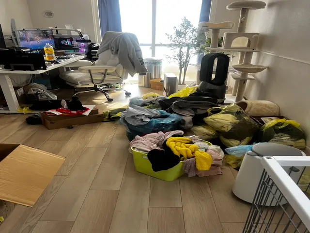 １名なら半額・女性の会社で安心♪整理収納アドバイザーだからできる計画的引っ越しサービスの画像