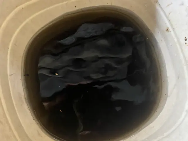 エアコンブンブン季節の前に綺麗な空気でお迎え^_^サービスの画像
