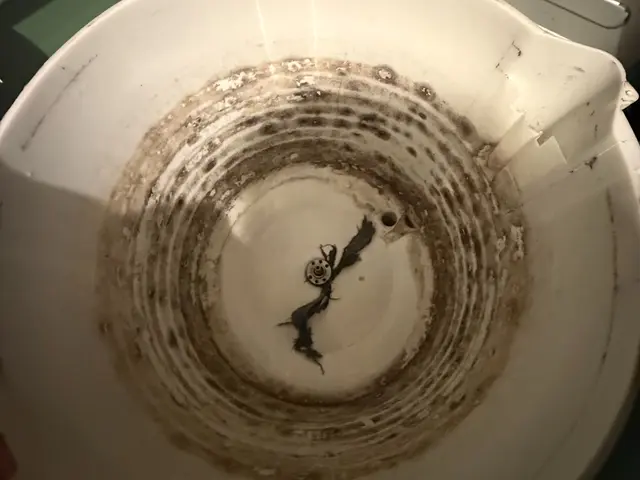 沢山のご要望によりスタート♪徹底した研修済み◎プロの分解洗浄でピカピカに！サービスの画像