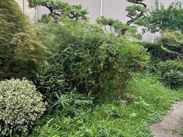 店長が直接お伺いする為安心！写真・現地出張見積もり無料！全力でご対応致します。サービスの画像