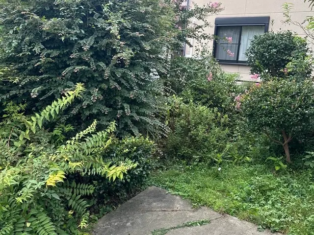 店長が直接お伺いする為安心！写真・現地出張見積もり無料！全力でご対応致します。サービスの画像