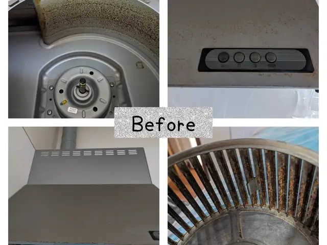 レンジフードの中って気になっていてもなかなか手を出せないですよね。プロにお任せ！サービスの画像