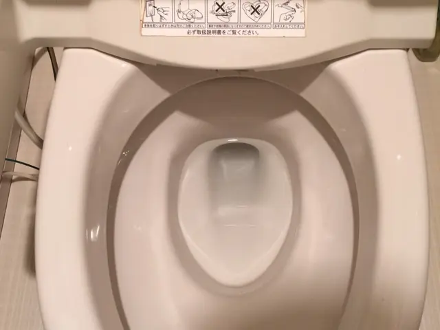 面倒なトイレ掃除お任せください！尿石もしっかり綺麗にいたします♪サービスの画像