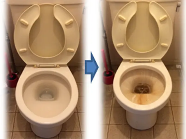 面倒なトイレ掃除お任せください！尿石もしっかり綺麗にいたします♪サービスの画像